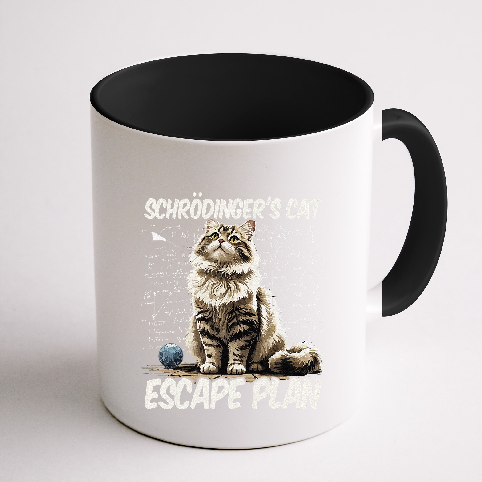 Funny SchröDingerS Cat Science .Png Mug