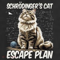 Funny SchröDingerS Cat Science .Png 11oz C Handle Ceramic Mug