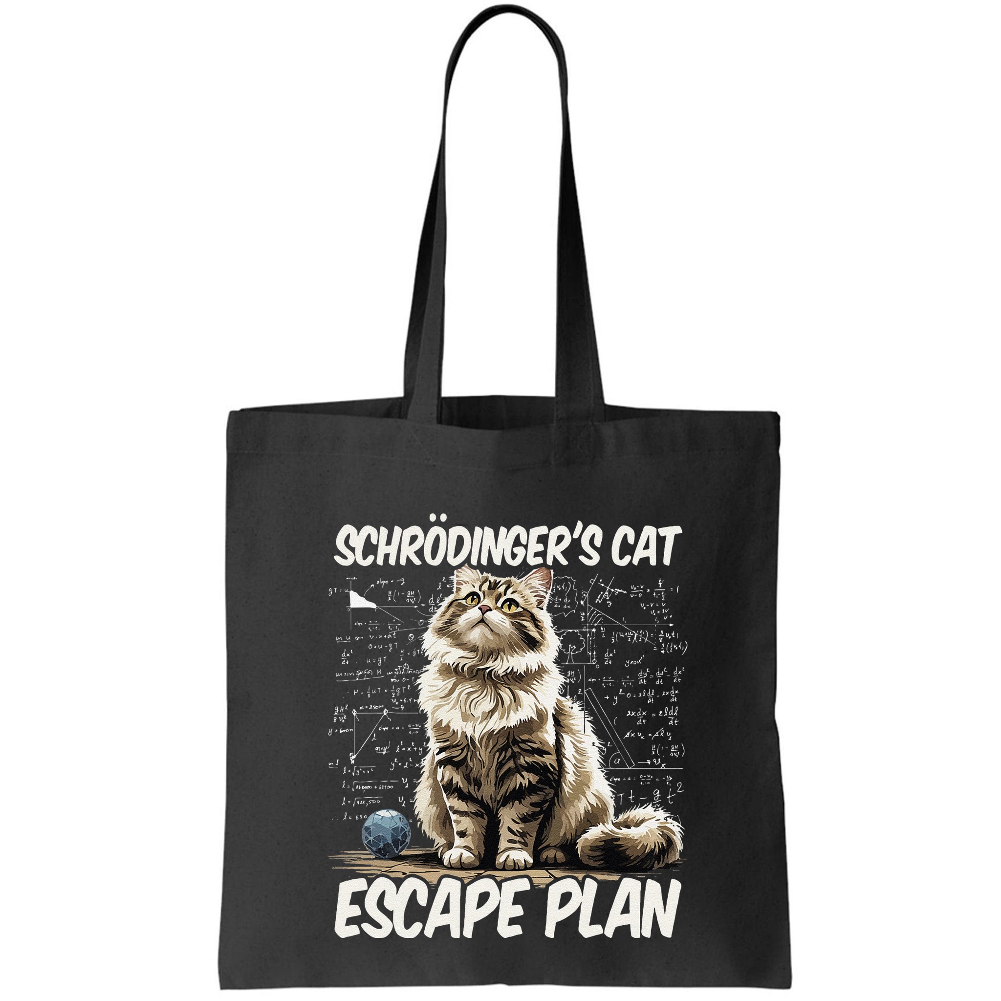 Funny SchröDingerS Cat Science .Png Bag