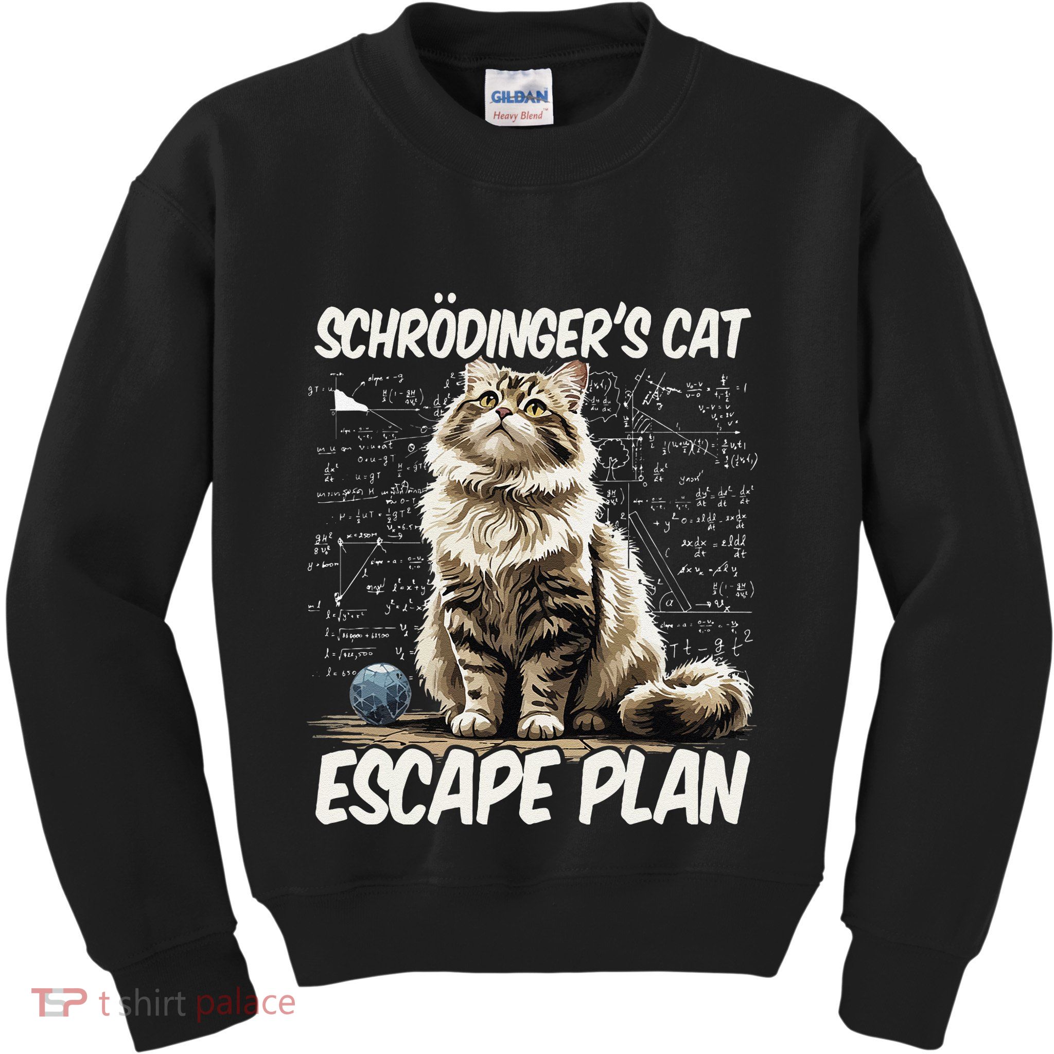 Funny SchröDingerS Cat Science .Png Kids Sweatshirt