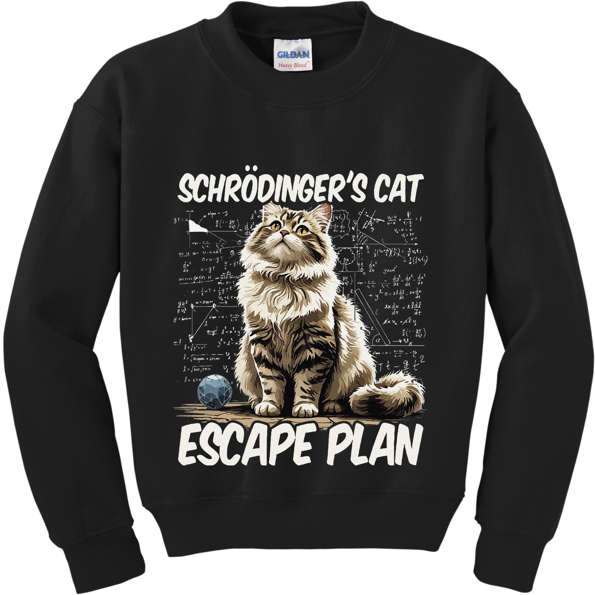 Funny SchröDingerS Cat Science .Png Kids Sweatshirt