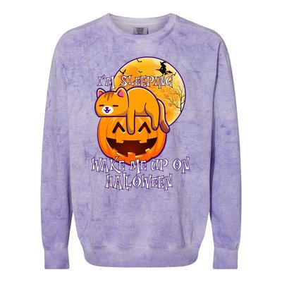 Funny Sleeping Cat On Pumpkin Wake Me Up On Halloween Funny Gift Colorblast Crewneck Sweatshirt