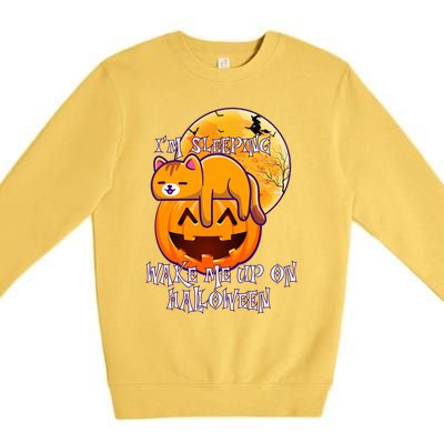 Funny Sleeping Cat On Pumpkin Wake Me Up On Halloween Funny Gift Premium Crewneck Sweatshirt