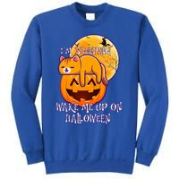 Funny Sleeping Cat On Pumpkin Wake Me Up On Halloween Funny Gift Sweatshirt