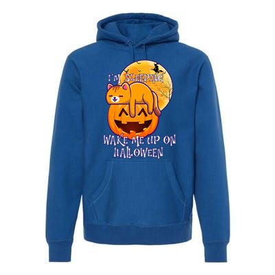 Funny Sleeping Cat On Pumpkin Wake Me Up On Halloween Funny Gift Premium Hoodie