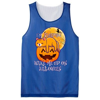 Funny Sleeping Cat On Pumpkin Wake Me Up On Halloween Funny Gift Mesh Reversible Basketball Jersey Tank