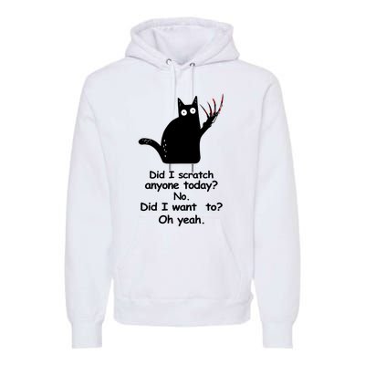 Funny Sarcastic Cat Have I Scratched Anyone Today Black Cat Premium Hoodie