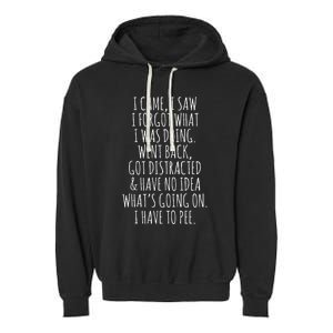 Funny Senior Citizen I Came I Saw I Forgot What I Was Doing Garment-Dyed Fleece Hoodie