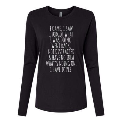 Funny Senior Citizen I Came I Saw I Forgot What I Was Doing Womens Cotton Relaxed Long Sleeve T-Shirt