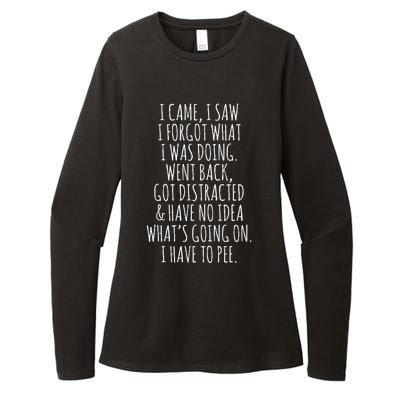 Funny Senior Citizen I Came I Saw I Forgot What I Was Doing Womens CVC Long Sleeve Shirt