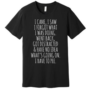 Funny Senior Citizen I Came I Saw I Forgot What I Was Doing Premium T-Shirt