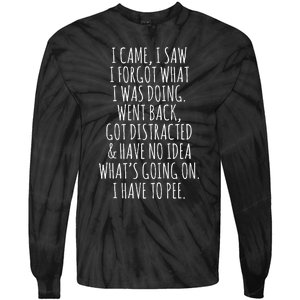 Funny Senior Citizen I Came I Saw I Forgot What I Was Doing Tie-Dye Long Sleeve Shirt