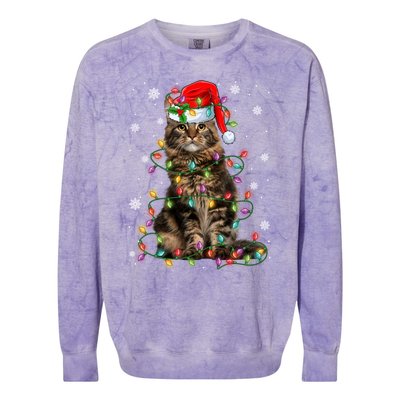 Funny Santa Claus Maine Coon Cat And Christmas Lights Xmas Gift Colorblast Crewneck Sweatshirt