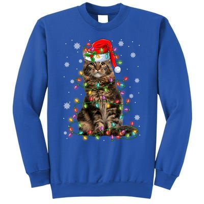 Funny Santa Claus Maine Coon Cat And Christmas Lights Xmas Gift Sweatshirt