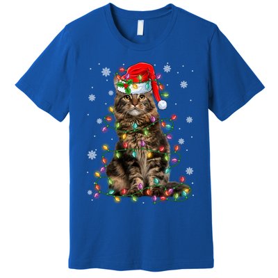 Funny Santa Claus Maine Coon Cat And Christmas Lights Xmas Gift Premium T-Shirt