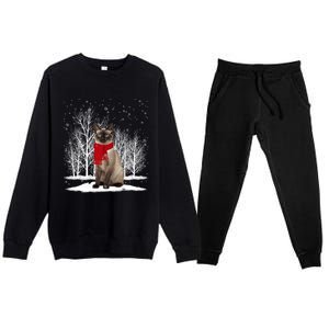 Funny Siamese Cat Wearing Ugly Christmas Scarf Xmas Cute Gift Premium Crewneck Sweatsuit Set