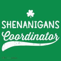 Funny Shenanigans Coordinator For St Patricks Day Outfit Baby Bodysuit