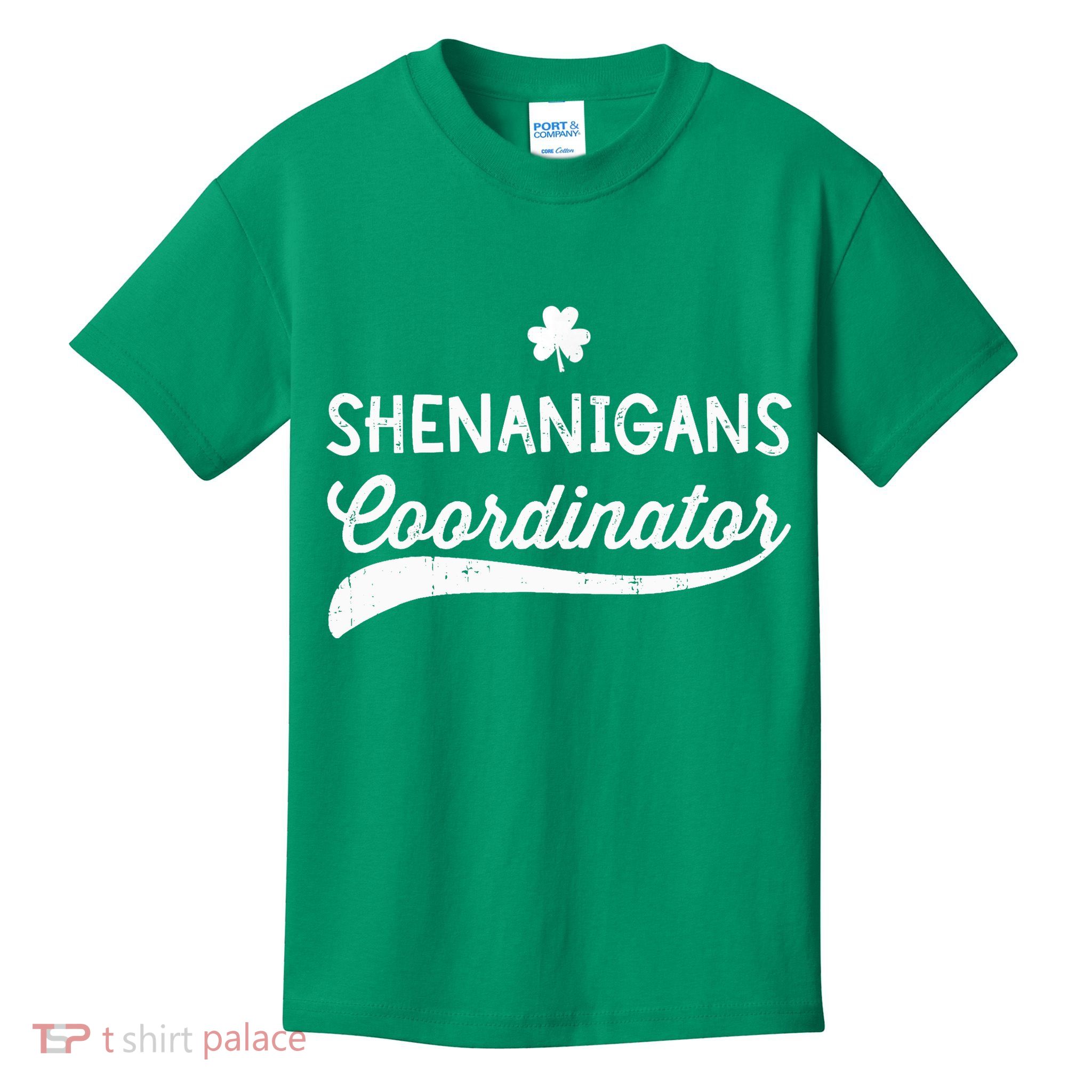 Funny Shenanigans Coordinator For St Patricks Day Outfit Kids T-Shirt