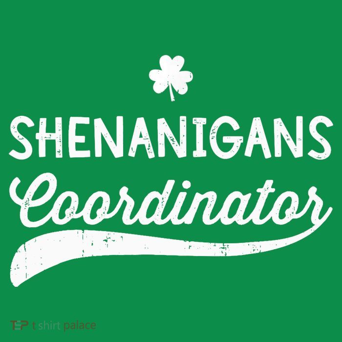 Funny Shenanigans Coordinator For St Patricks Day Outfit Kids T-Shirt