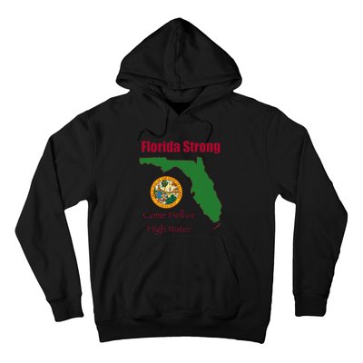 Florida Strong Come Hell Or High Water Hoodie