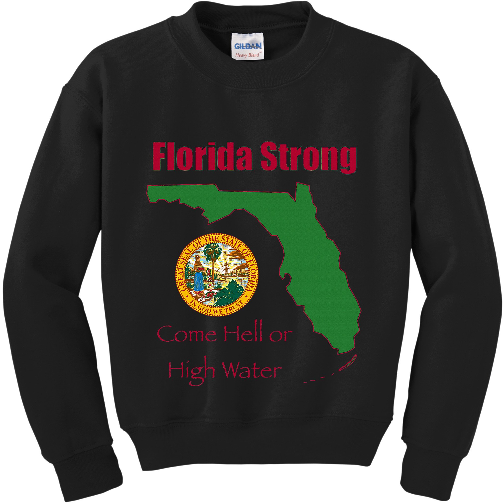 Florida Strong Come Hell Or High Water Kids Sweatshirt