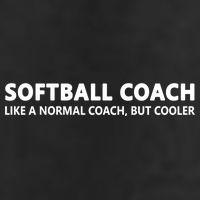 Funny Softball Coach Definition Softball Coach Gift 7 Panel Mesh Trucker Snapback Hat