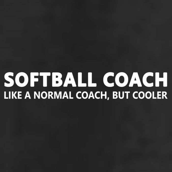 Funny Softball Coach Definition Softball Coach Gift 7 Panel Mesh Trucker Snapback Hat