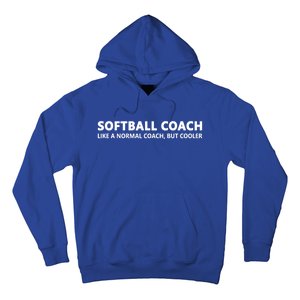 Funny Softball Coach Definition Softball Coach Gift Hoodie