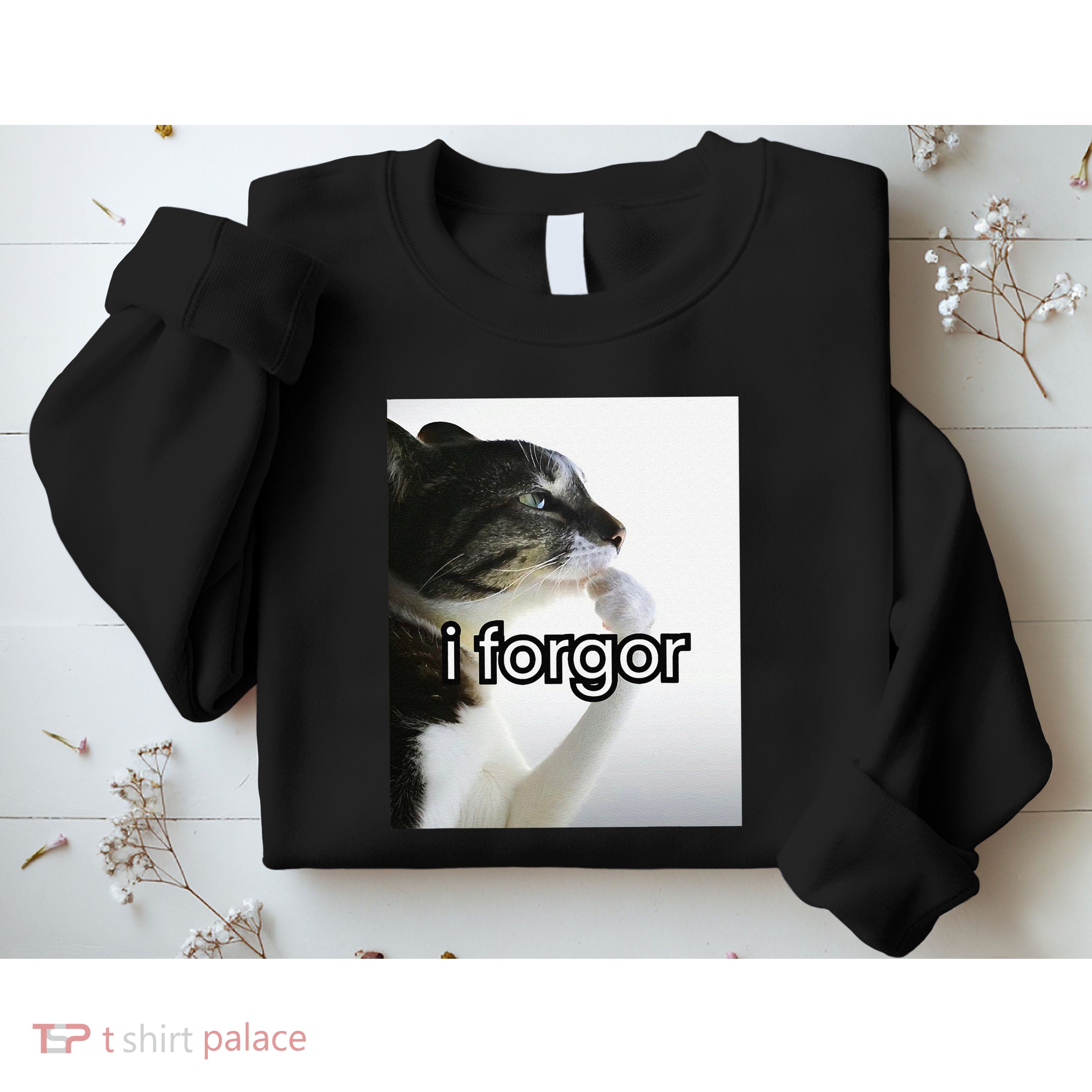Funny Silly Cat Meme I Forgor Cringe Brainrot Meme Gift Sweatshirt