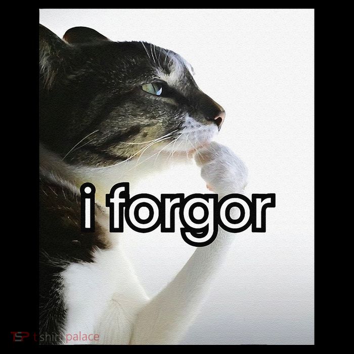 Funny Silly Cat Meme I Forgor Cringe Brainrot Meme Gift Tall T-Shirt