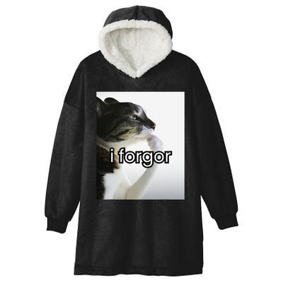 Funny Silly Cat Meme I Forgor Cringe Brainrot Meme Gift Hooded Wearable Blanket
