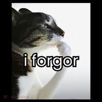 Funny Silly Cat Meme I Forgor Cringe Brainrot Meme Gift Bucket Hat