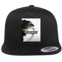Funny Silly Cat Meme I Forgor Cringe Brainrot Meme Gift Flat Bill Trucker Hat