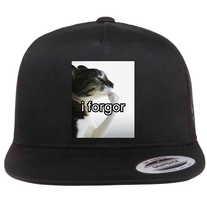 Funny Silly Cat Meme I Forgor Cringe Brainrot Meme Gift Flat Bill Trucker Hat