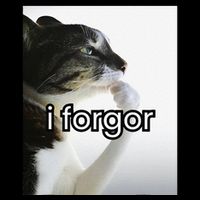Funny Silly Cat Meme I Forgor Cringe Brainrot Meme Gift Flat Bill Trucker Hat