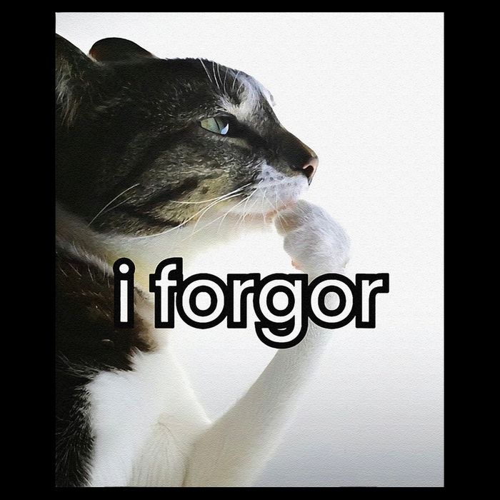 Funny Silly Cat Meme I Forgor Cringe Brainrot Meme Gift Flat Bill Trucker Hat