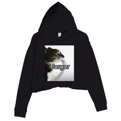Funny Silly Cat Meme I Forgor Cringe Brainrot Meme Gift Crop Fleece Hoodie