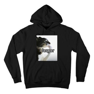 Funny Silly Cat Meme I Forgor Cringe Brainrot Meme Gift Tall Hoodie