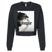 Funny Silly Cat Meme I Forgor Cringe Brainrot Meme Gift Cropped Pullover Crew