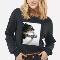 Funny Silly Cat Meme I Forgor Cringe Brainrot Meme Gift Cropped Pullover Crew