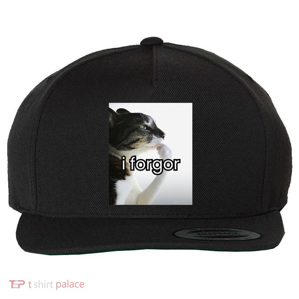 Funny Silly Cat Meme I Forgor Cringe Brainrot Meme Gift Wool Snapback Cap