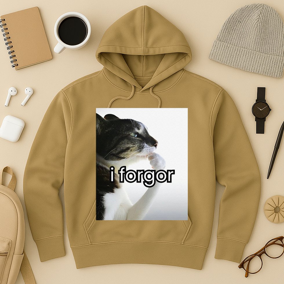 Funny Silly Cat Meme I Forgor Cringe Brainrot Meme Gift Hoodie