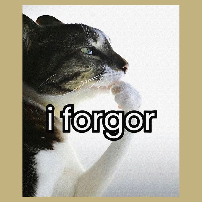 Funny Silly Cat Meme I Forgor Cringe Brainrot Meme Gift Magnet