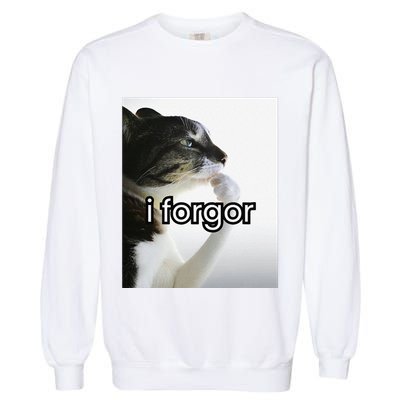 Funny Silly Cat Meme I Forgor Cringe Brainrot Meme Gift Garment-Dyed Sweatshirt