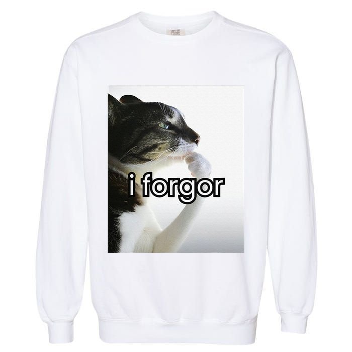 Funny Silly Cat Meme I Forgor Cringe Brainrot Meme Gift Garment-Dyed Sweatshirt