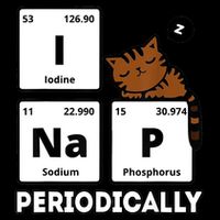 Funny Science Cat I Nap Periodically Cats Lovers Chemistry 16 in Basic Backpack