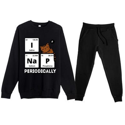 Funny Science Cat I Nap Periodically Cats Lovers Chemistry Premium Crewneck Sweatsuit Set