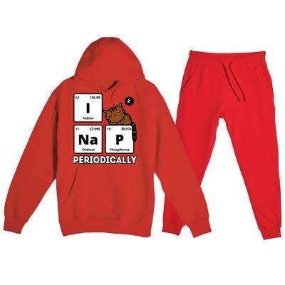 Funny Science Cat I Nap Periodically Cats Lovers Chemistry Premium Hooded Sweatsuit Set