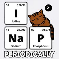 Funny Science Cat I Nap Periodically Cats Lovers Chemistry Adult Drive Performance Visor