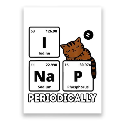 Funny Science Cat I Nap Periodically Cats Lovers Chemistry Poster